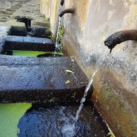 Апартаменты Primavera Peqa Хеновес
